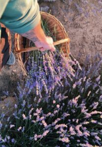la lavanda me inspira para escribir